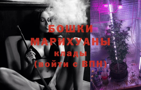 амф Ельня