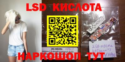 прущие крисы Гатчина