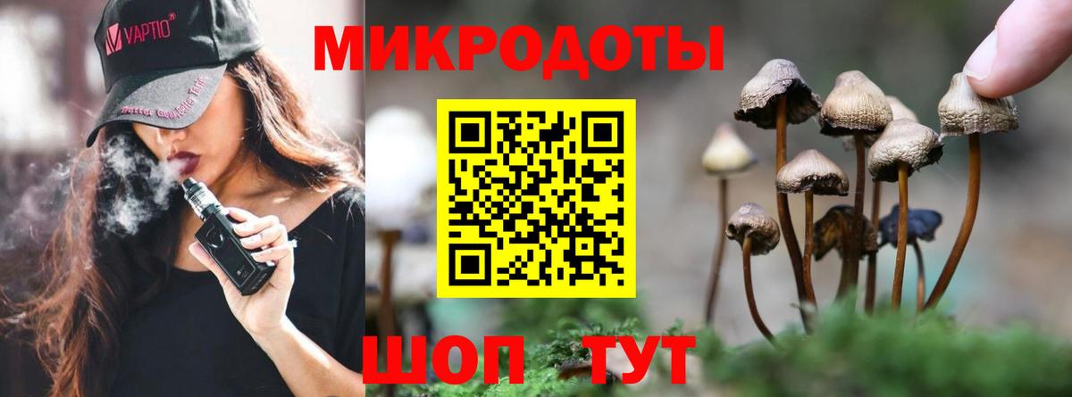 Петровск  Галлюциногенные грибы GOLDEN TEACHER  Вход с VPN 