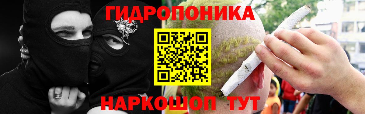 Марихуана LSD WEED  Петровск  Шишки марихуана планчик  Канабис конопля 